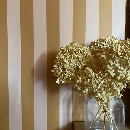 Appartement D'armentières